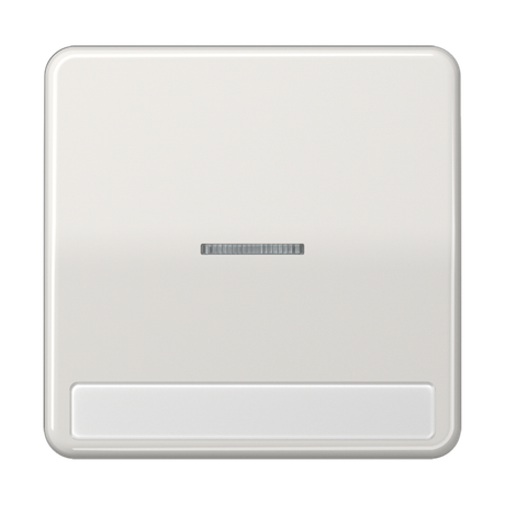 Клавиша с окошком для выключателя подсветкой и полем надписи; светло-серая | CD590NAKO5LG Jung