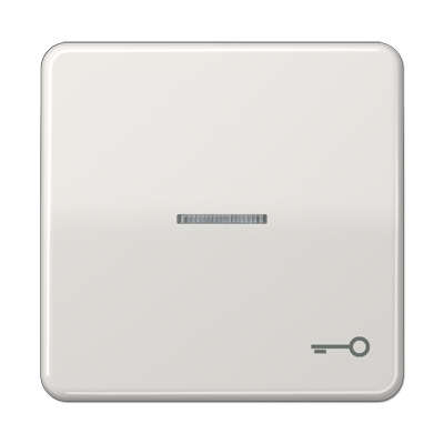 Клавиша с окошком и символом "ключ" для выключателей подсветкой; светло-серая | CD590KO5TLG Jung