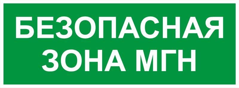 Самоклеящаяся этикетка INFO-SSA-124 350х130мм Безопасная зона МГН SSA-101/DPA-301 | Б0064724 ЭРА