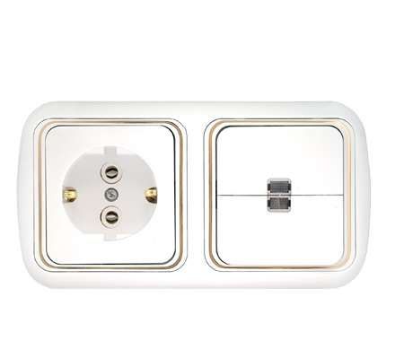 Беларусь блок 2-кл выкл с индик+розетка зк 2В-РЦ-601 - Bylectrica