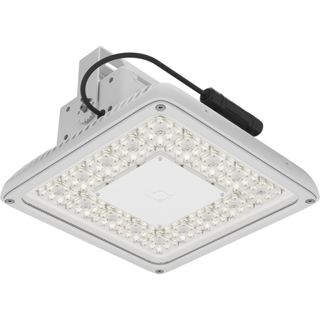Светильник светодиодный INSEL LB/S LED 100 D120 Ex 5000K | 1334000520 Световые Технологии