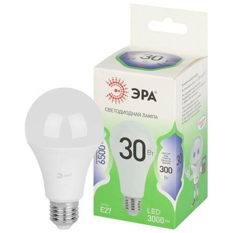 Лампа светодиодная LED 30 Вт 3000Лм 6500К груша холодный E27 220-240В A65-30W-865-E27 Green Line - Б0067145 ЭРА