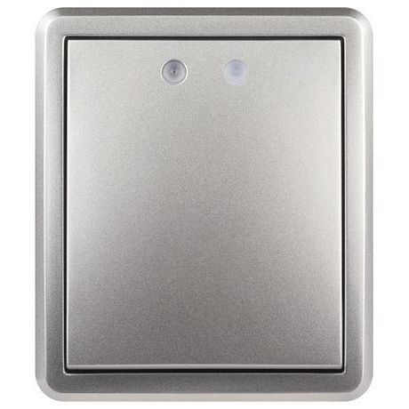 Выключатель одноклавишный наружный (открытой установки) с подсветкой IP 20 алюминий 10А 250В винтовые зажимы ЭРА Эксперт 11-1202-03 - Б0063041