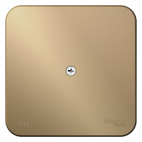 Коробка распределительная ОП Blanca IP42 титан SE BLNRK000014 APC