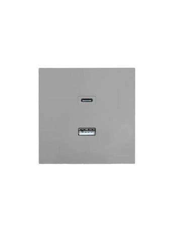 Розетка Type-C+ USB разъем СП ZIMA IP20 сер. матов. LEZARD 704-7488-192TC