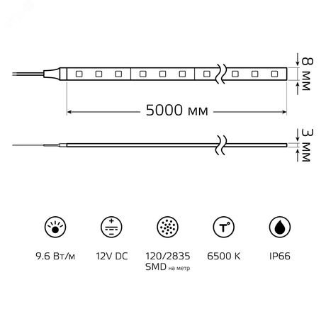 Лента светодиодная LED 2835/120-SMD 9,6 Вт/м 290 Лм/м 6000К холодный IP66 12 В DC 8 мм (катушка 5 м ZIP bag) Elementary Gauss - 356000310