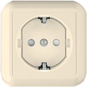 Розетка 1-м ОП Прима 16А 250В с заземл. сл. кость (опт. упак) SchE RA16-003-1-S Schneider Electric