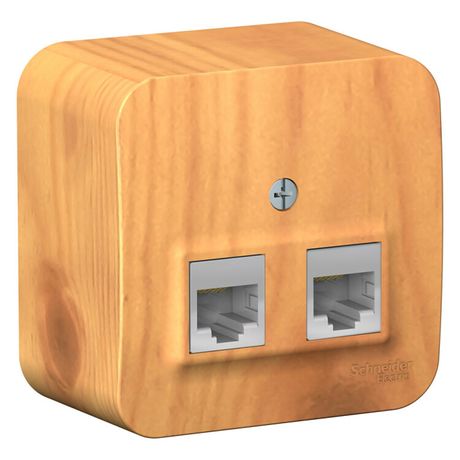 Розетка компьютерная 2-м ОП Blanca RJ45 кат.5E с изолир. пластиной ясень SE BLNIA045455 APC