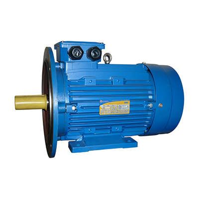 Электродвигатель (5АИ) 112 М4 5,5кВт 1500 об./мин. IM 2081 (комби) | 01.01.213684 Элком ОРЛАН