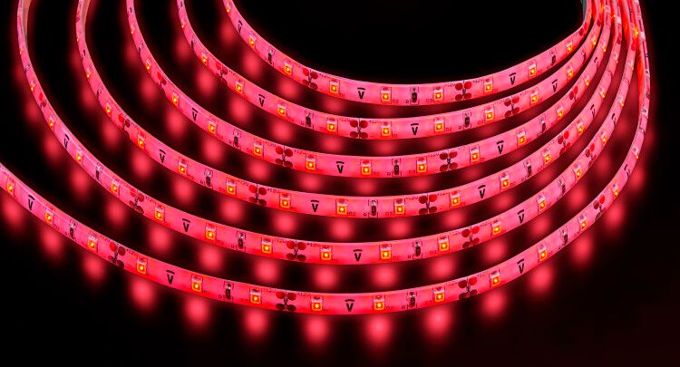 Лента светодиодная NLS-3528R60-4,8-IP65-12V R5 4,8Вт 12В красный IP65 5м | 71406 Navigator 18191 NLS-3528