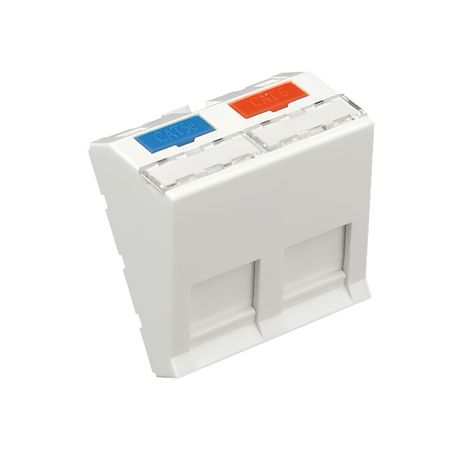 Лицевая панель информационной розетки, для модулей типа KeyStone на 2 модуля (наклонная) 45 х мм - 87022 Экопласт