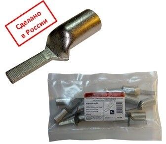 Наконечник НШМЛ 10-5,5х13 | SQ0570-0009 TDM