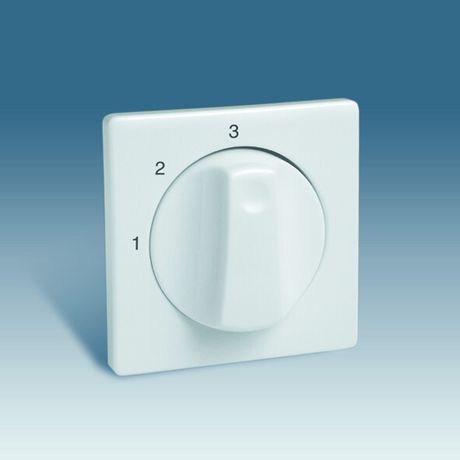 Накладка на 75234-39 Simon82/82Nature сл. кость 82084-31