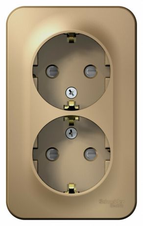 Розетка 2-м ОП Blanca 16А IP20 250В с заземл. защ. шторки титан SE BLNRA011204 APC