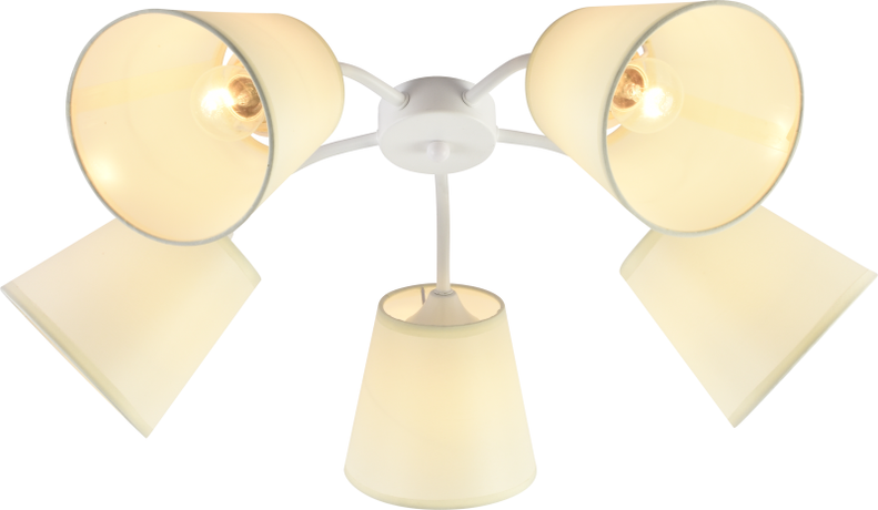 Люстра Aimee 9162-305 5 х Е27 60 Вт модерн | Б0059972 Rivoli ЭРА