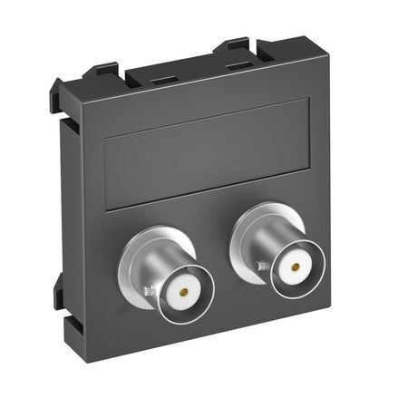 Мультимедийная рамка Audio-BNC Modul45 (черный) (MTG-2BC F SWGR1) | 6105093 OBO Bettermann