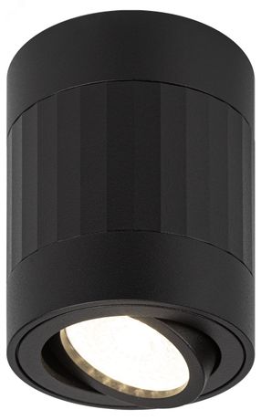 Светильник настенно-потолочный спот OL34 BK MR16 GU10, черный | Б0056381 ЭРА