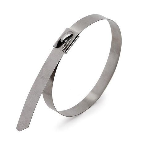 Стяжка стальная СКС (304) 4.6x300 (50шт) | 103079 Fortisflex КВТ