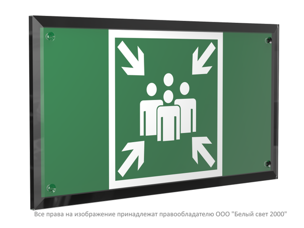 Знак безопасности PT-32178-Black.E21 "Пункт (место) сбора " Белый свет a32710 BS