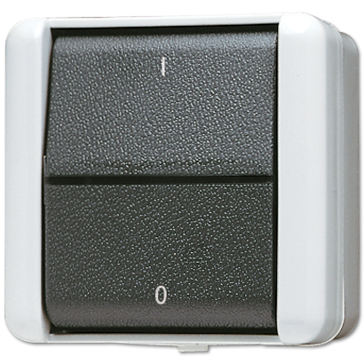 Выключатель двухполюсный IP44| 802W |Jung