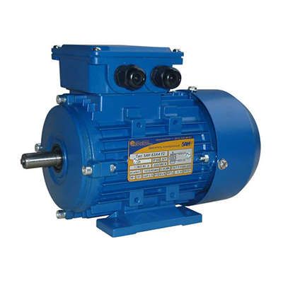 Электродвигатель (5АИ) 63 А4 0,25кВт 1500 об./мин. IM 1081 (лапы) | 01.01.213522 Элком ОРЛАН