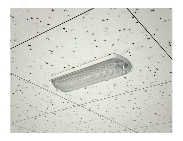 Светильник для ЖКХ пылевлагозащищенный TLM 1xE27 CL 363x132x75мм без ламп IP65 прозр | 83292 TechnoLux