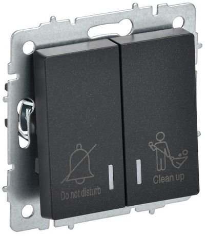 Выключатель 2-кл. BRITE 10А ВС10-2-9-БрЧ для отелей с индик. механизм черн. IEK BR-V20-2-10-K02