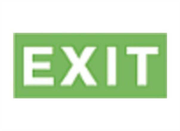Пиктограмма (Наклейка) Exit (125х250) | 1004125250 АСТЗ Ардатов