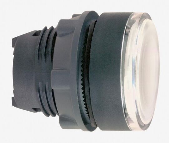 ГОЛОВКА КНОПКИ 22ММ С ЗАДЕРЖКОЙ ZB5AH013 | Schneider Electric