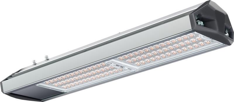 Светильник светодиодный РУС ДКУ 02 110 740 ШБ ЕСАУЛ IP66/67 уличный Технологии света УТ000026426