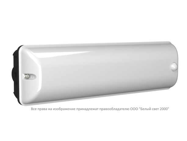 Светильник аварийный BS-METEOR-10-L4-ELON 5000К DD01 Black Белый свет a32182
