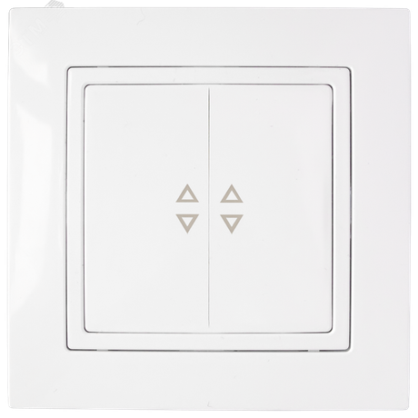 Беларусь Выключатель двухклавишный скрытый для управления цепями с 2-х и более мест С(6+6) 10-870 - Bylectrica