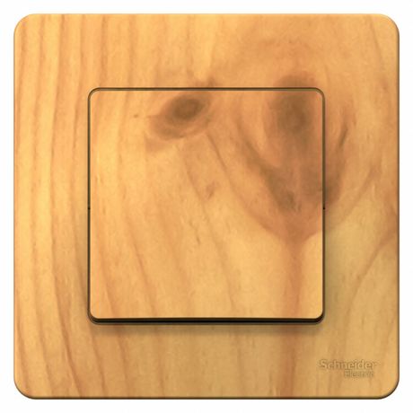 Переключатель проходной 1-кл. СП Blanca 10А IP20 (сх. 6) 250В ясень SE BLNVS010605 APC