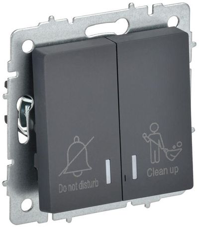 Выключатель 2-кл. BRITE 10А ВС10-2-9-БрГ для отелей с индик. механизм графит IEK BR-V20-2-10-K53