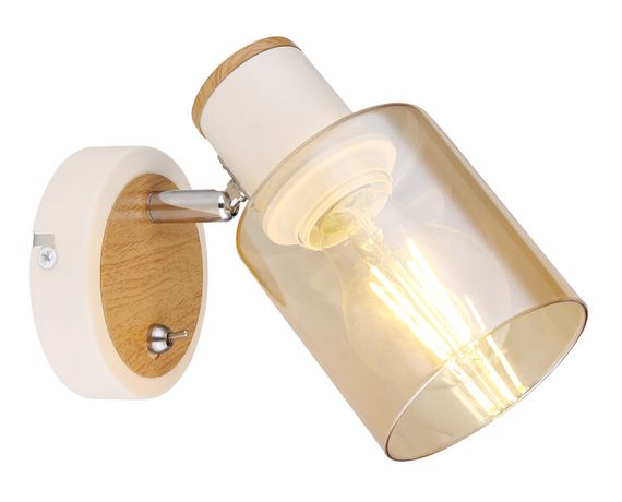 Светильник настенно-потолочный спот Jamilly 7057-701 1 х Е27 40 Вт поворотный с выключателем | Б0054660 Rivoli ЭРА