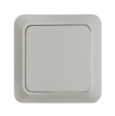 Выключатель одноклавишный BOLLETO белый накладной 7021 | 4680005959747 IN HOME