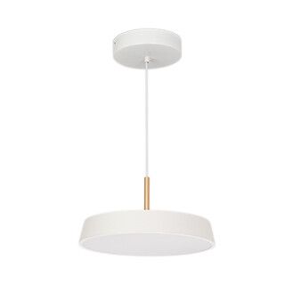 Светильник SP-ELEGANT-R300-17W Day4000 (WH, 120 deg, 230V) (Arlight, IP20 Металл, 3 года) | 033919(1) Arlight