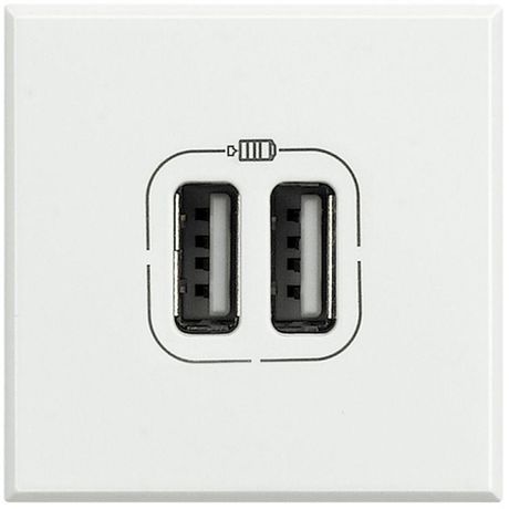 Разъем для зарядки 2хUSB Axolute бел. Leg BTC HD4285C2 Legrand