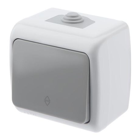 Переключатель Intro Atlantic 5-103-03 10А-250В, IP54, открытой установки, серый ЭРА - Б0050942