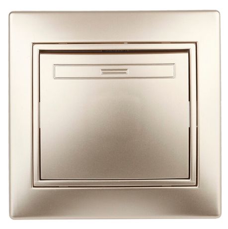 Выключатель 1-кл. СП Plano 10А IP20 1-101-04 250В шампань Intro Б0030031 ЭРА