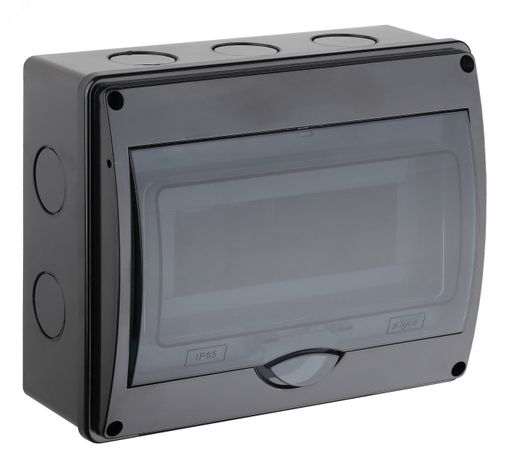 Щиток распределительный навесной на 10 модулей с дверцей черный IP66 (ЩРн-П-10) - 69011Ч TYCO