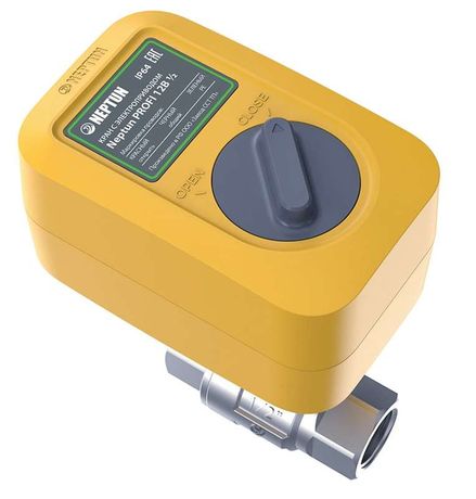 Кран с электроприводом Neptun PROFI 12В 1 1/4' - 100035699600