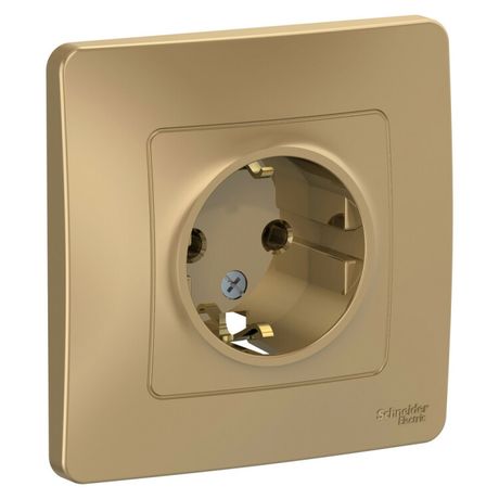 Розетка 1-м СП Blanca 16А IP20 250В с заземл. без защ. шторок титан SE BLNRS001014 APC