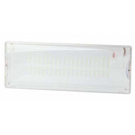 Светильник светодиодный аварийный постоянный 40LED 3ч IP65 NiCD DPA-301-1-65 | Б0051843 ЭРА