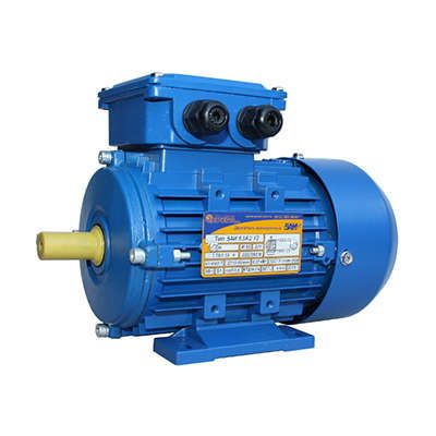 Электродвигатель (5АИ) 63 А2 0.37,0кВт 3000 об./мин. IM 1081 (лапы) | 01.01.213519 Элком ОРЛАН