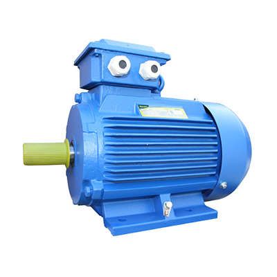 Электродвигатель (5АИ) 100 S2 4,0кВт 3000 об./мин. IM 1081 (лапы) | 01.01.213555 Элком ОРЛАН