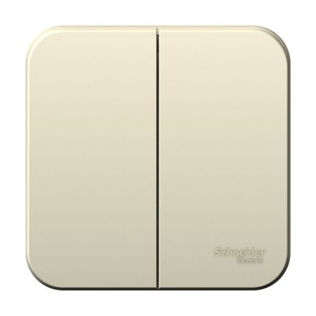 Выключатель 2-кл. ОП Blanca 6А IP20 (сх. 5) 250В молочн. SE BLNVA065002 APC