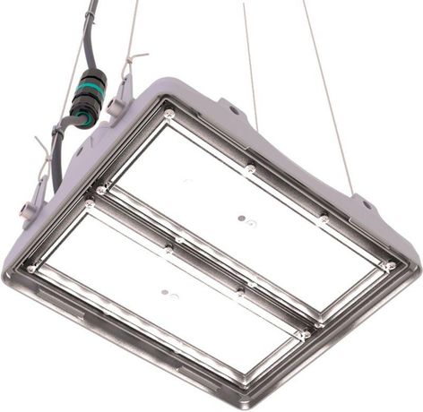 Светильник L-pixel 1/50/Д/840/(R5)/01/MT-KM/I1-D1/220AC IP66 RAL7035 - PX50-11216-124-172 LEDEL