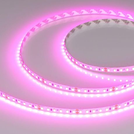Светодиодная лента RT-A120-8mm 24V Magenta (9.6 W/m, IP20, 2835, 5m) (Arlight, -) | 043381 Arlight