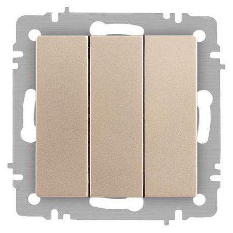 Выключатель трехклавишный, в рамку (скрытого монтажа) алюминий 10А 250В винтовые зажимы Intro Accent 6-106-04 - Б0063538 ЭРА